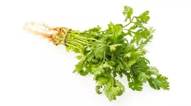 garnishing-instructions-image